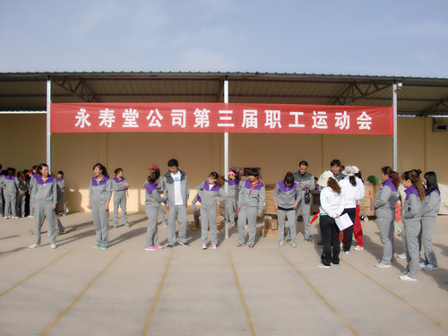 员工运动会