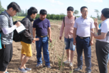 韩国考察队考察我公司基地有机枸杞种植